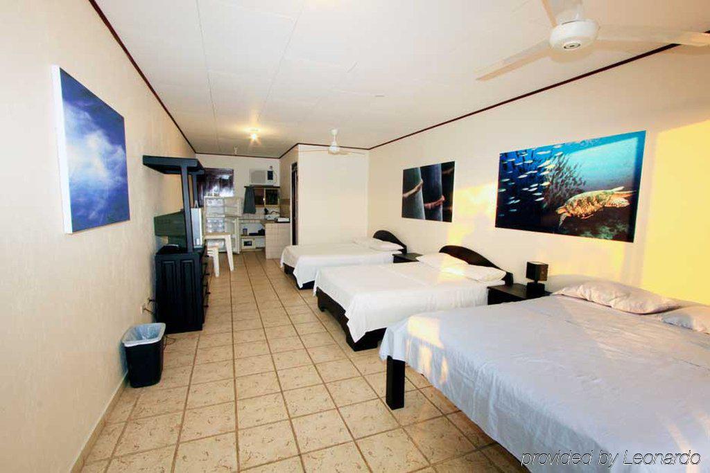 Blue Palm Hotel ハコ 部屋 写真